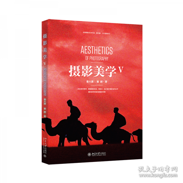 摄影美学V 秦大唐 秦鹏