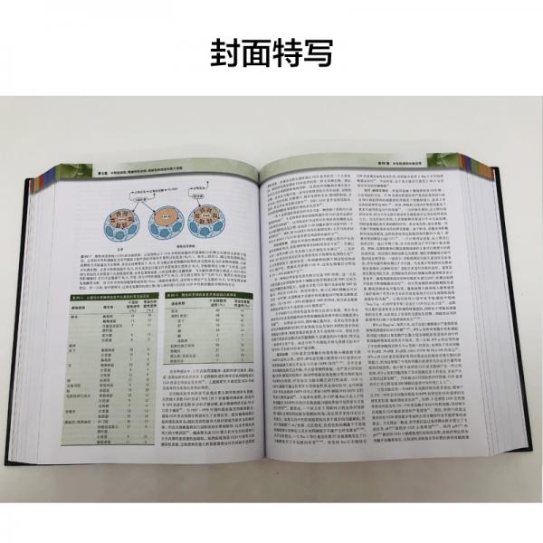 威廉姆斯血液学，第9版