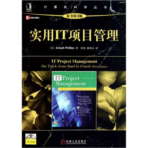 實用IT項目管理