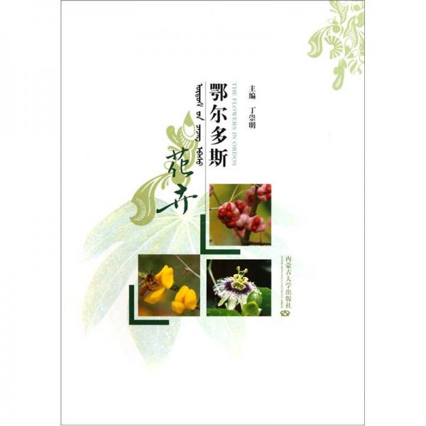 鄂爾多斯花卉