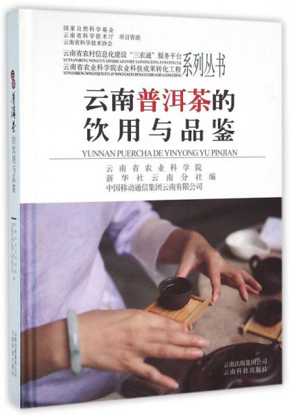 云南普洱茶的飲用與品鑒