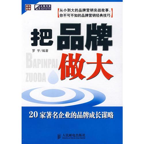 把品牌做大：20家著名企业的品牌成长谋略