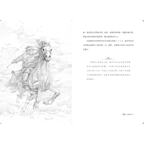 黑鹤动物文学精品系列-血驹