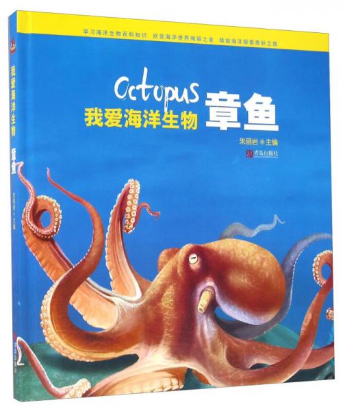 我愛(ài)海洋生物 章魚(yú)