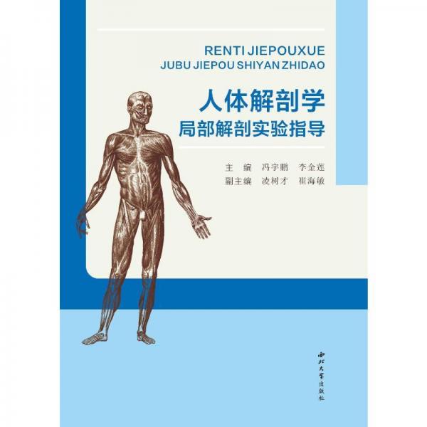 全新正版圖書 人體解剖學局部解剖實驗指導馮宇鵬西北大學出版社9787560451022