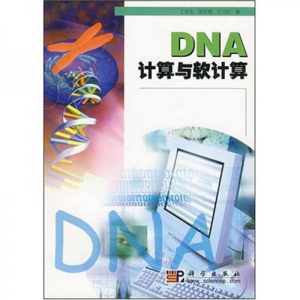 DNA计算与软计算