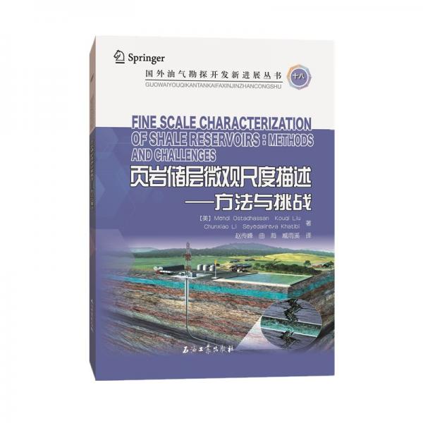 頁巖儲層微觀尺度描述——方法與挑戰(zhàn)