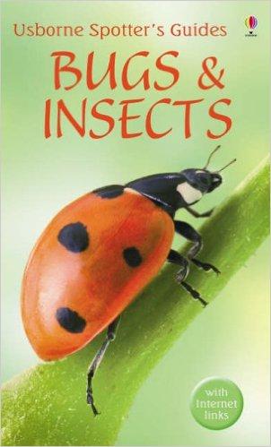 Bugs&InsectsUsborne英文原版