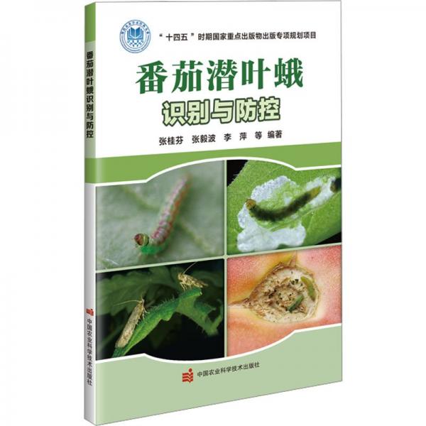 番茄潛葉蛾識(shí)別與防控