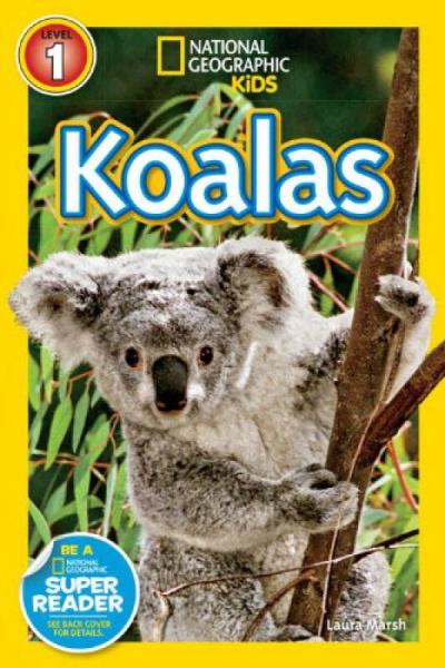 National Geographic Readers: Koalas 国际地理少儿版：可爱的卡拉