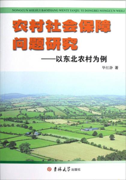 农村社会保障问题研究：以东北农村为例