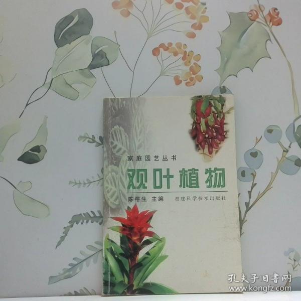 觀葉植物