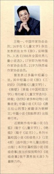 儿童文学淘乐酷：班级奇事