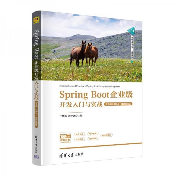 Spring Boot企业级开发入门与实战（IntelliJ IDEA·微课视频版）