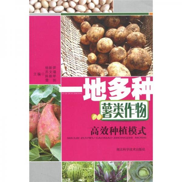 一地多種薯類作物高效種植模式