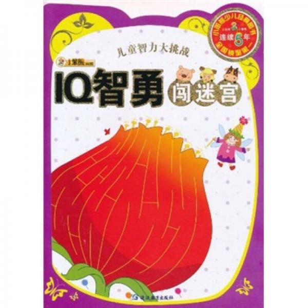 IQ智勇闯迷宫