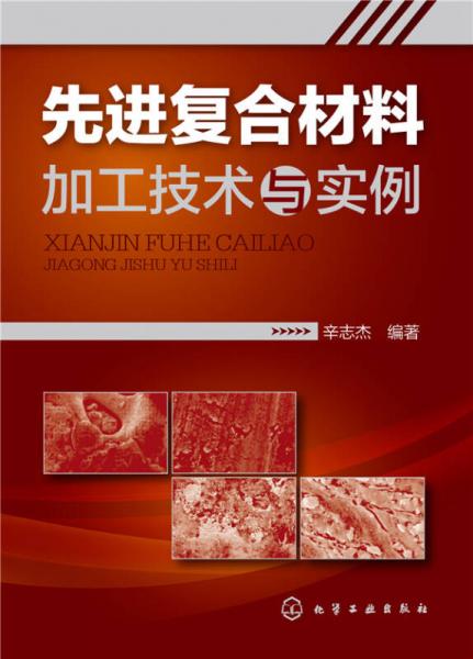 先進(jìn)復(fù)合材料加工技術(shù)與實(shí)例