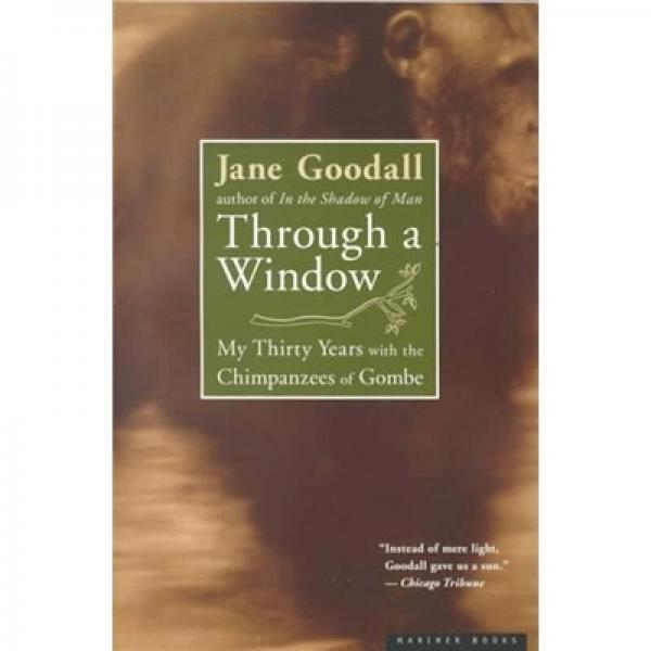 Through a Window