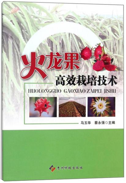 火龍果高效栽培技術(shù)