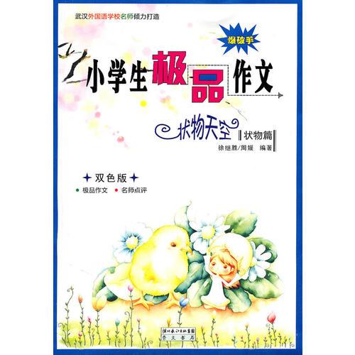 小學(xué)生極品作文-狀物天空