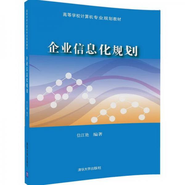 企业信息化规划/高等学校计算机专业规划教材