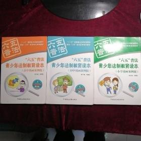 “六五”普法青少年法制教育讀本:小學(xué)漫畫案例版