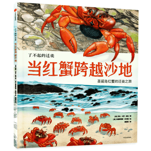 了不起的遷徙：當(dāng)紅蟹跨越沙地