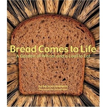 BreadComestoLife