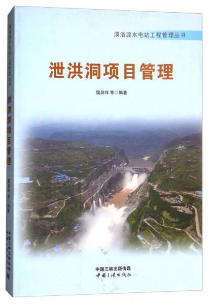 泄洪洞项目管理/溪洛渡水电站工程管理丛书
