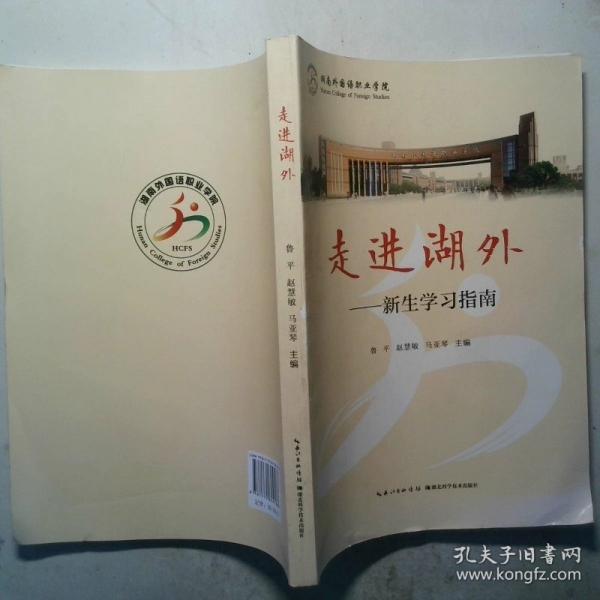 走近湖外