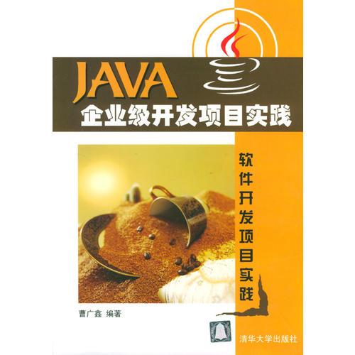 Java 企业级开发项目实践