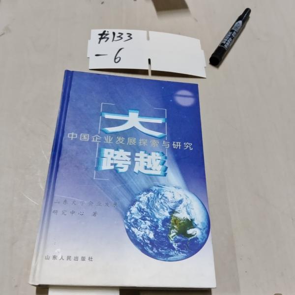 大跨越:中國(guó)企業(yè)發(fā)展探索與創(chuàng)新