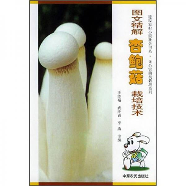 圖文精解杏鮑菇栽培技術(shù)