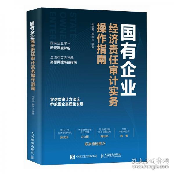 国有企业经济责任审计实务操作指南