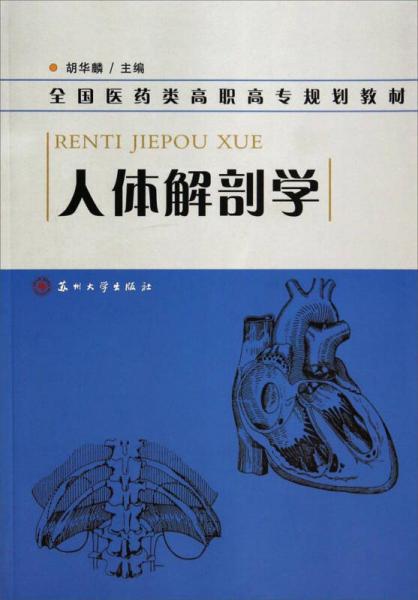 人體解剖學(xué)/全國(guó)醫(yī)藥類高職高專規(guī)劃教材