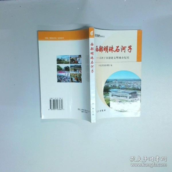 西部明珠石河子:石河子市創(chuàng)建文明城市紀實