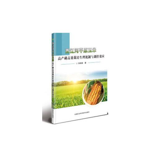 西辽河平原玉米高产磷高效栽培生理机制与调控效应