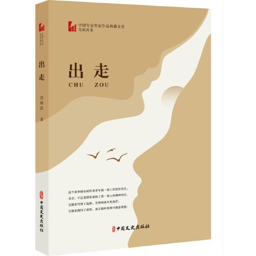 出走(中國專業(yè)作家作品典藏文庫·范曉波卷)