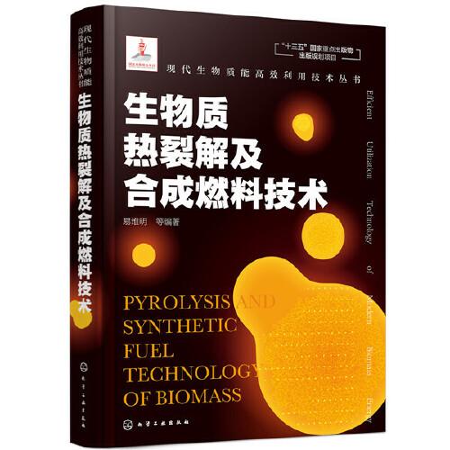 现代生物质能高效利用技术丛书--生物质热裂解及合成燃料技术