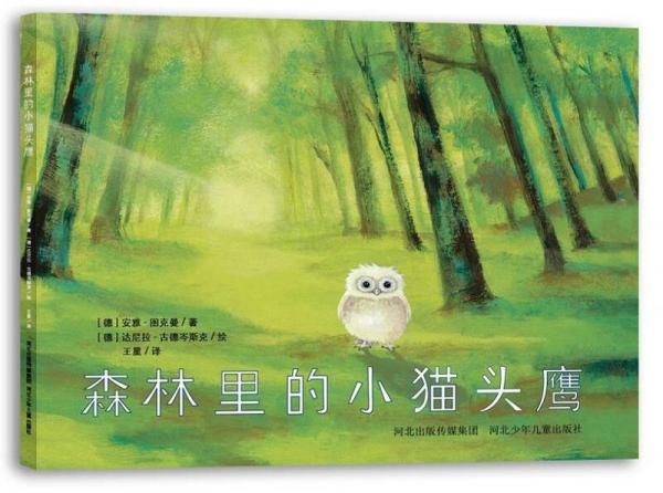 森林里的小貓頭鷹