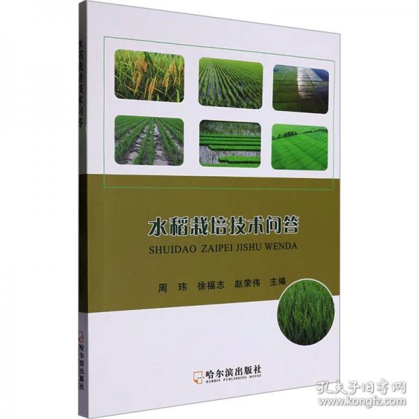 水稻栽培技術(shù)問答