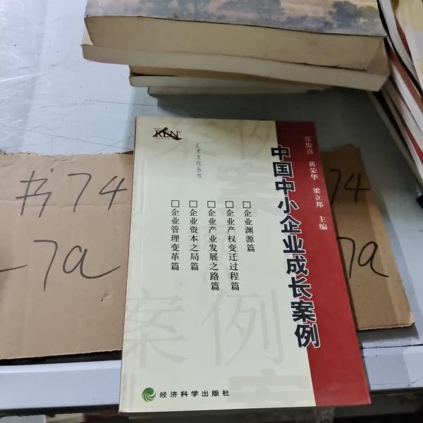 中國中小企業(yè)成長案例