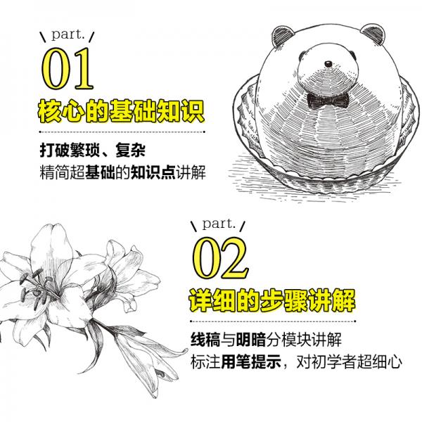 钢笔画入门精致黑白插画手绘教程