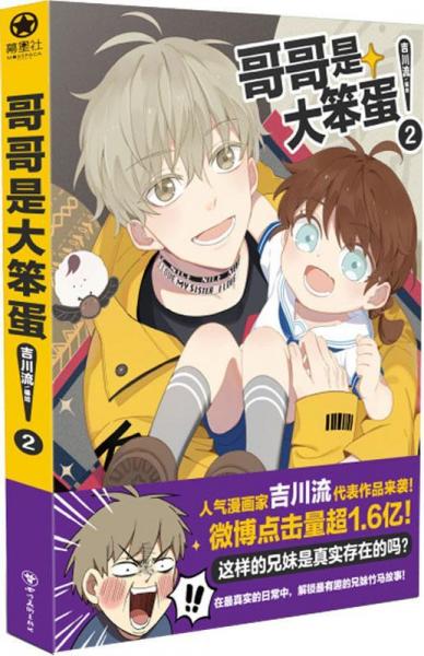 哥哥是大笨蛋 2