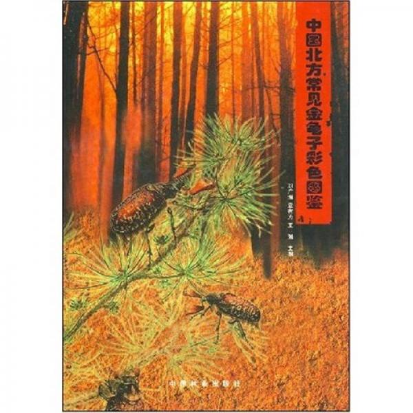 中國北方常見金龜子彩色圖鑒