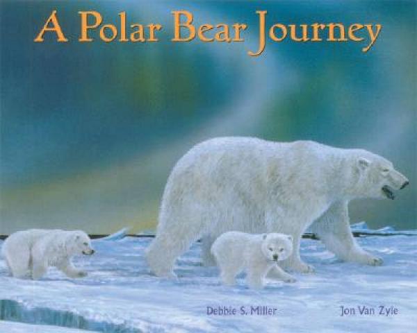A Polar Bear Journey