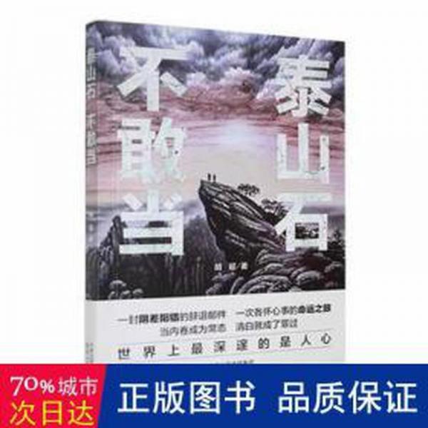 全新正版圖書 泰山石，不敢當(dāng)胡超天津人民出版社9787201192864