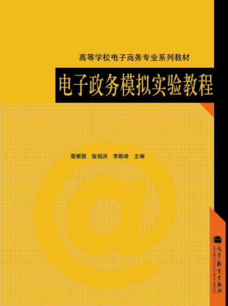 高等学校电子商务专业系列教材：电子政务模拟实验教程