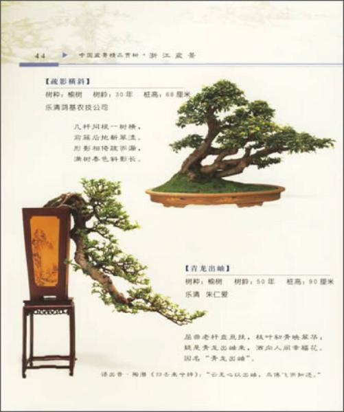 中国盆景精品鉴赏：浙江盆景