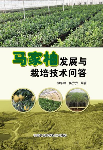 馬家柚發(fā)展與栽培技術(shù)問答